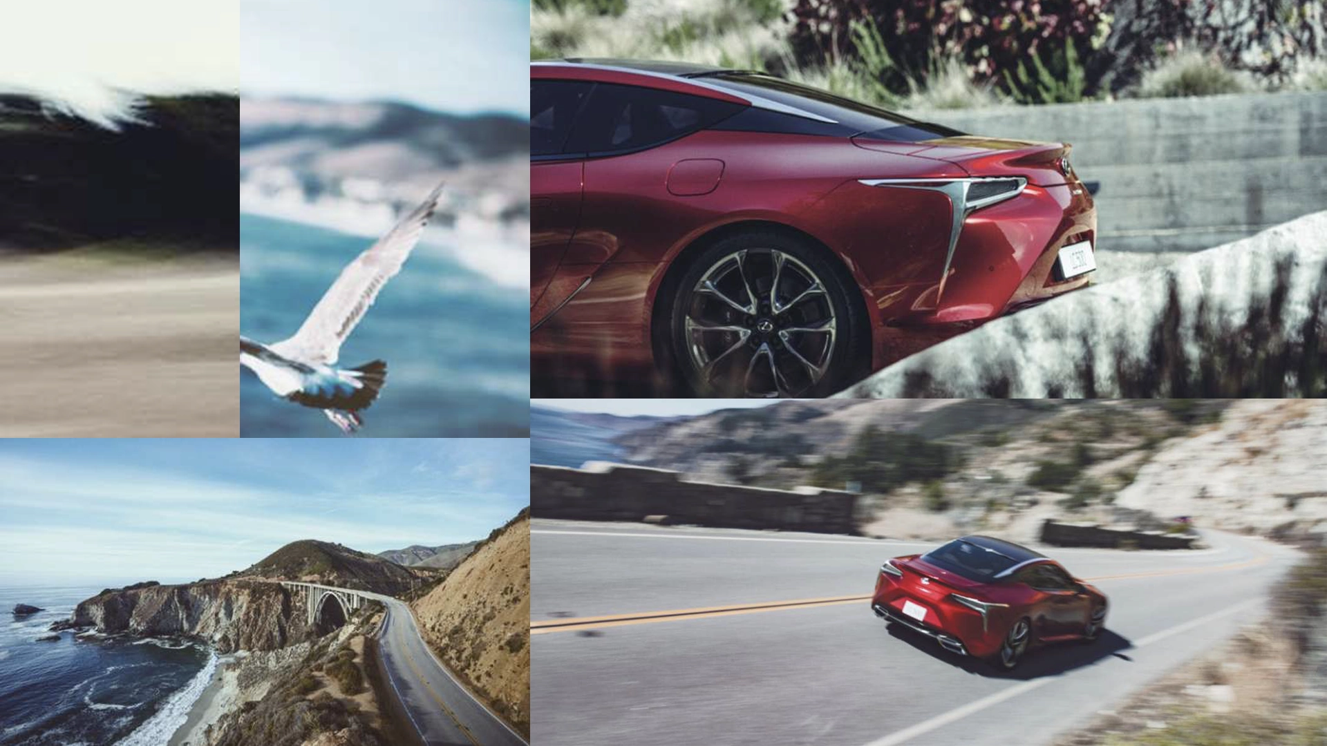 2023-lexus-lc-500-coupe-montage-1-car-back-catalogue-1